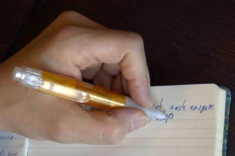 Lefty writes his diary